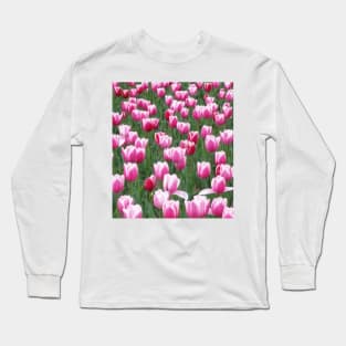 Field of Pink Tulips Long Sleeve T-Shirt